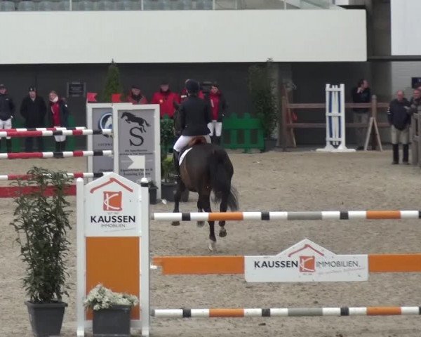 FEI Reitturnier Aachen (GER) 2016