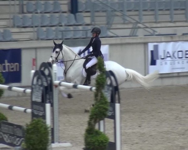 FEI Reitturnier Aachen (GER) 2016