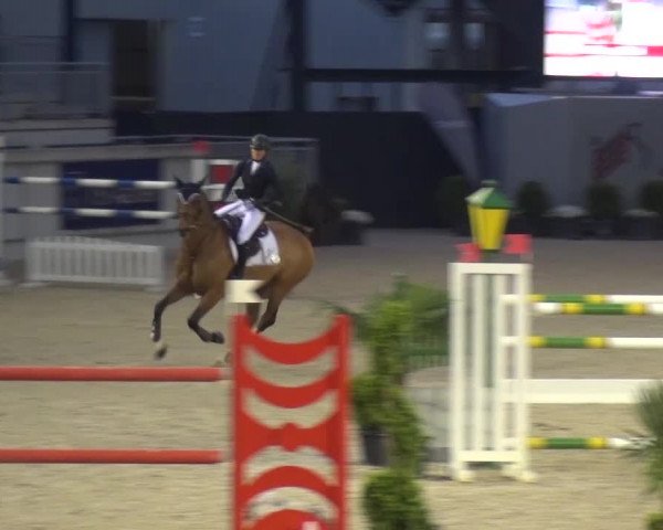 FEI Reitturnier Aachen (GER) 2016