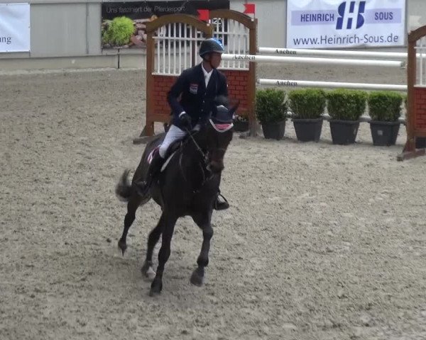 FEI Reitturnier Aachen (GER) 2016