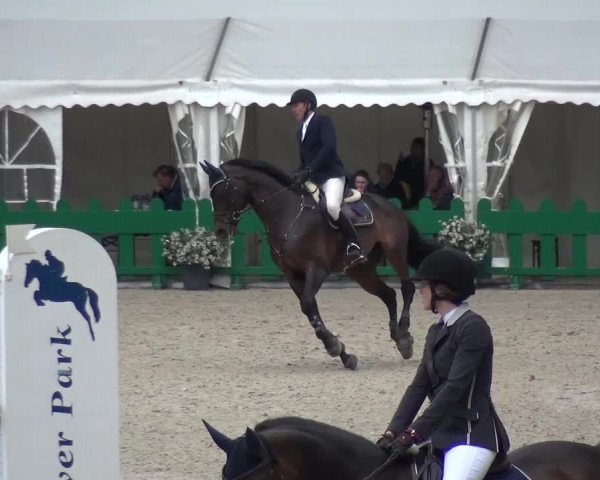 FEI Reitturnier Aachen (GER) 2016
