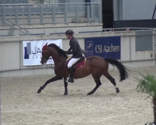FEI Reitturnier Aachen (GER) 2016