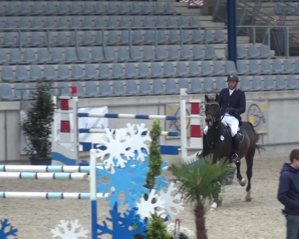 FEI Reitturnier Aachen (GER) 2016