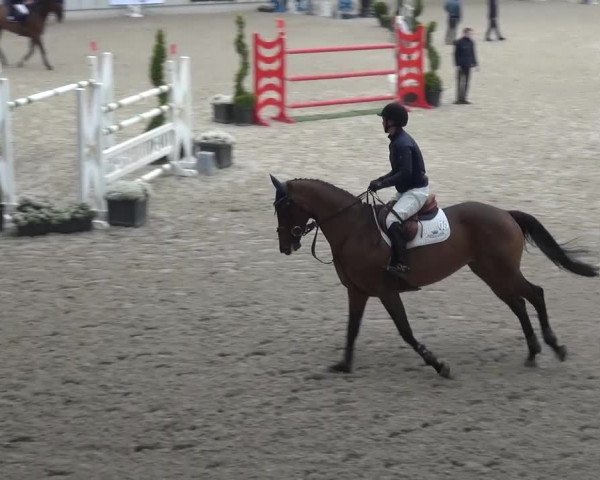 FEI Reitturnier Aachen (GER) 2016