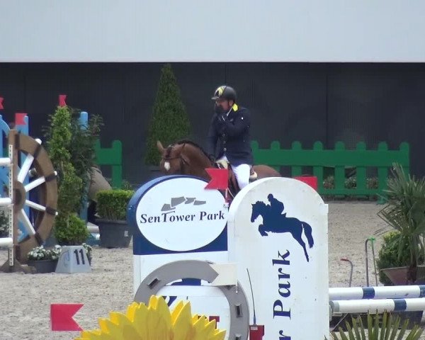 FEI Reitturnier Aachen (GER) 2016