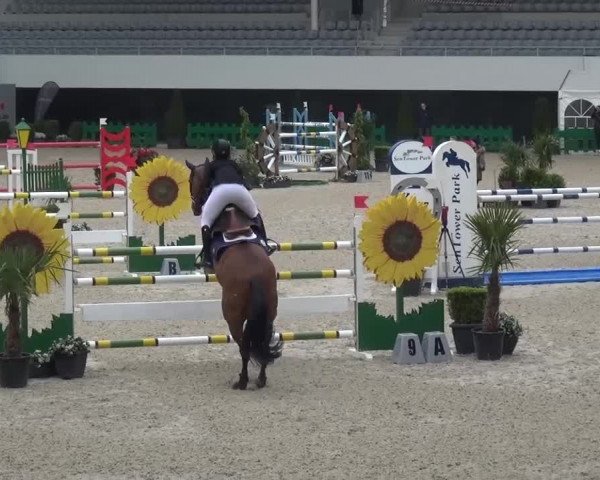 FEI Reitturnier Aachen (GER) 2016