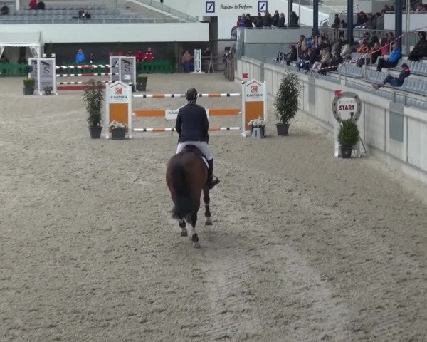 FEI Reitturnier Aachen (GER) 2016