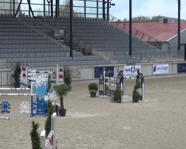 FEI Reitturnier Aachen (GER) 2016