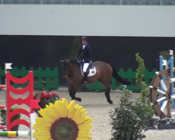 FEI Reitturnier Aachen (GER) 2016