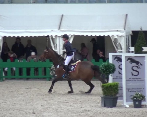 FEI Reitturnier Aachen (GER) 2016