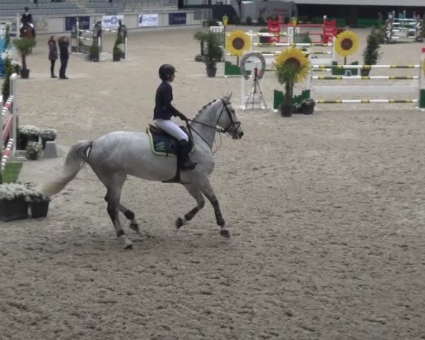 FEI Reitturnier Aachen (GER) 2016