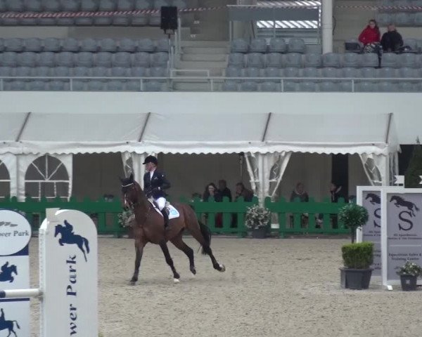 FEI Reitturnier Aachen (GER) 2016