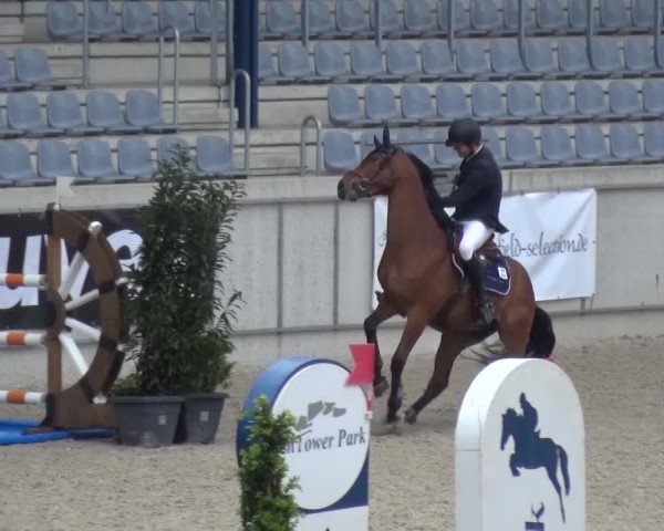 FEI Reitturnier Aachen (GER) 2016
