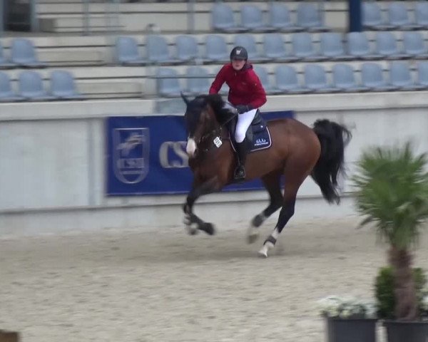 FEI Reitturnier Aachen (GER) 2016