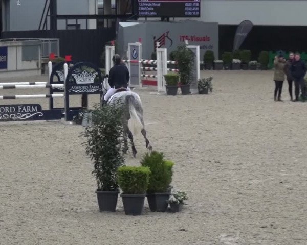 FEI Reitturnier Aachen (GER) 2016