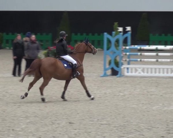 FEI Reitturnier Aachen (GER) 2016