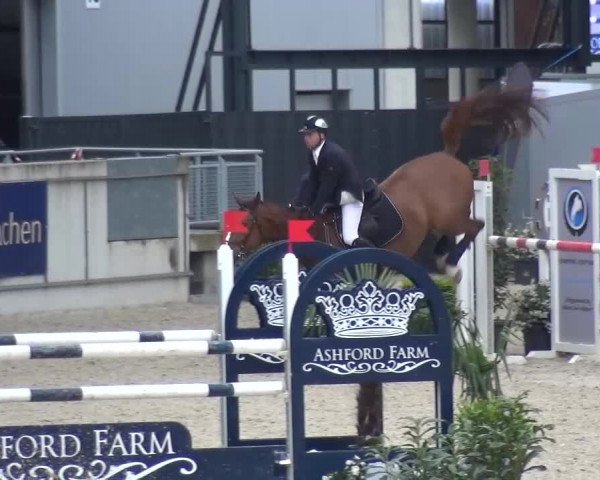 FEI Reitturnier Aachen (GER) 2016