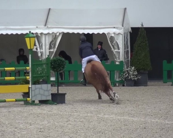 FEI Reitturnier Aachen (GER) 2016