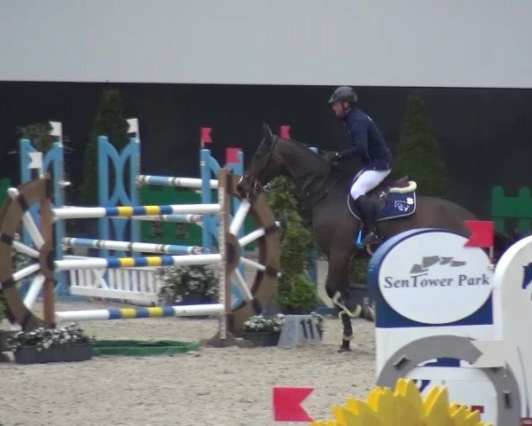 FEI Reitturnier Aachen (GER) 2016