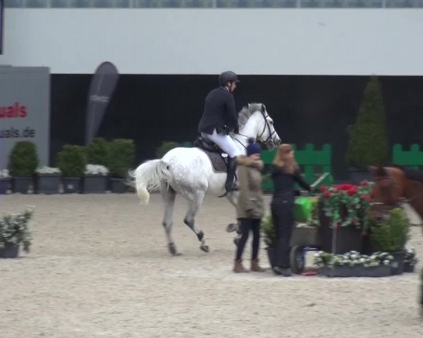 FEI Reitturnier Aachen (GER) 2016