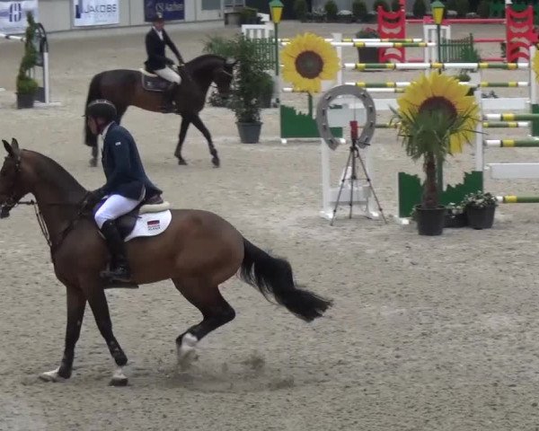 FEI Reitturnier Aachen (GER) 2016