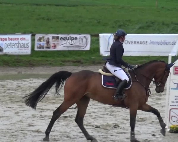 Reitturnier Xanten - Moermter 2016