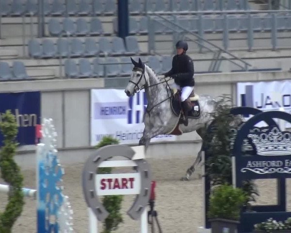 FEI Reitturnier Aachen (GER) 2016