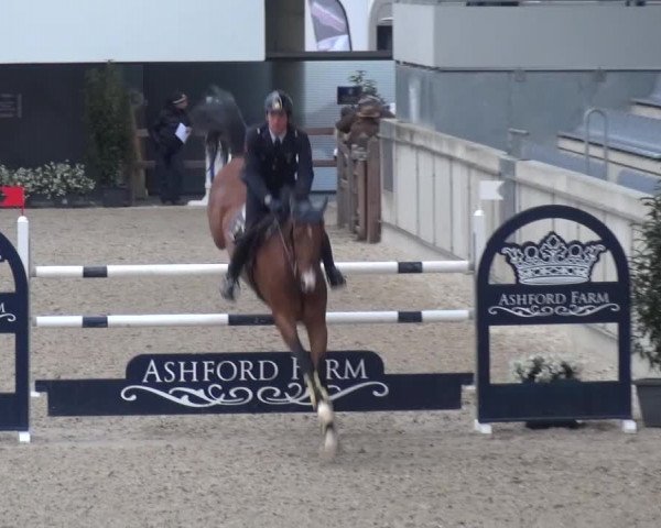 FEI Reitturnier Aachen (GER) 2016