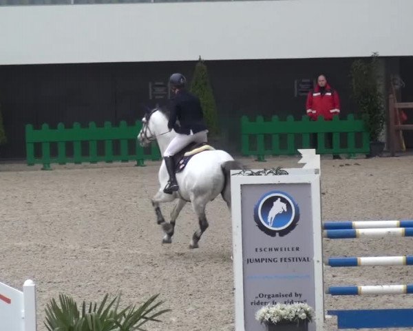 FEI Reitturnier Aachen (GER) 2016