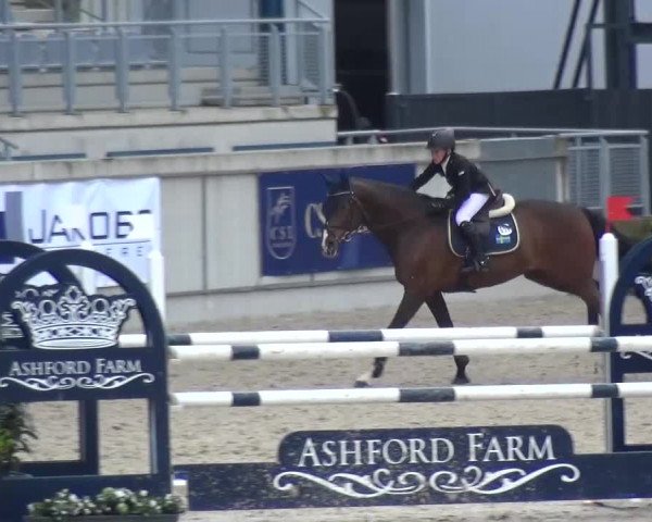 FEI Reitturnier Aachen (GER) 2016