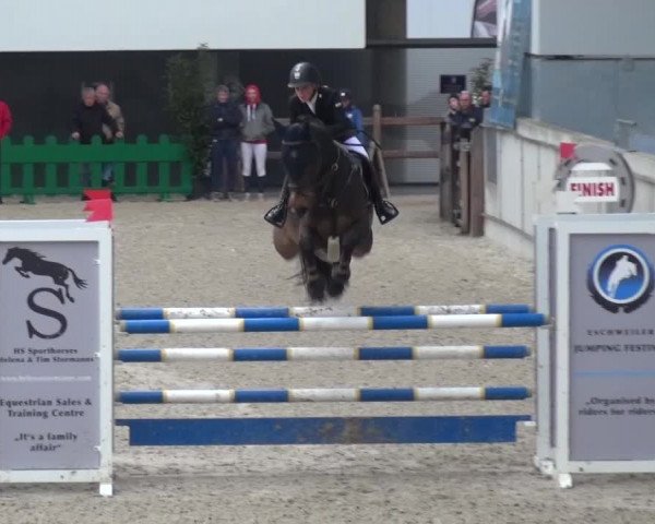 FEI Reitturnier Aachen (GER) 2016