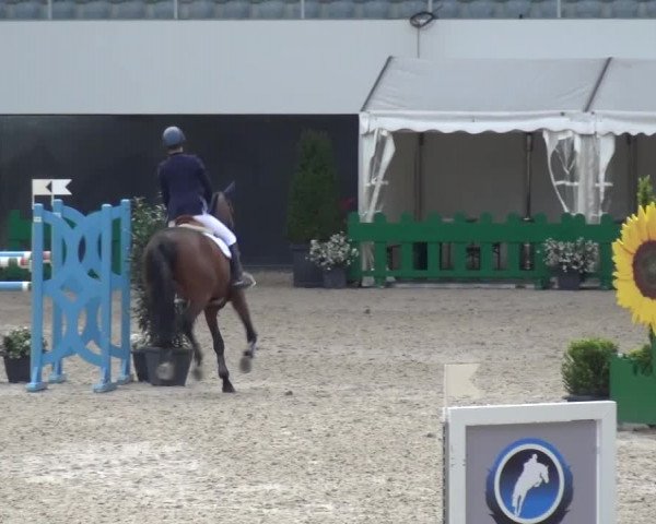 FEI Reitturnier Aachen (GER) 2016