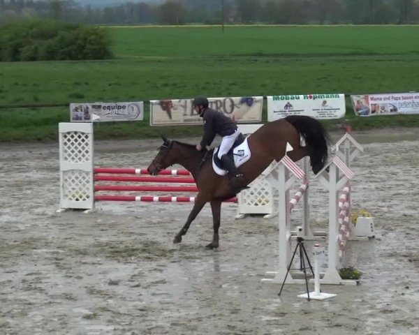 Reitturnier Xanten - Moermter 2016