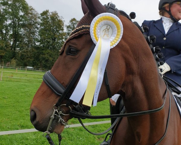 dressage horse Estolas (Bavarian, 2009, from Estobar NRW)