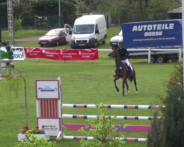 Reitturnier Greppin 2016