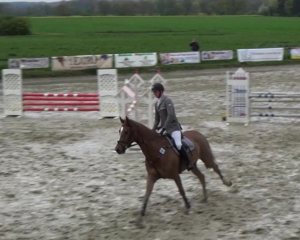 Reitturnier Xanten - Moermter 2016