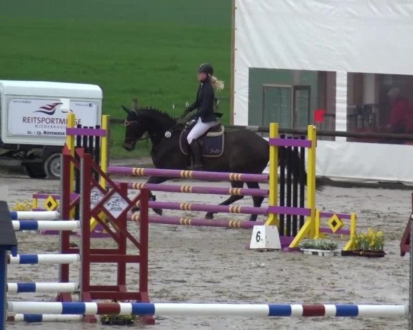 Reitturnier Xanten - Moermter 2016