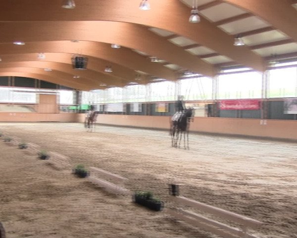 Reitturnier Iserlohn-Süd 2016
