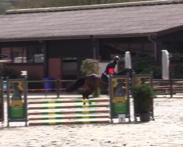 Reitturnier Havixbeck 2016
