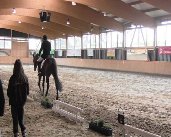Reitturnier Iserlohn-Süd 2016