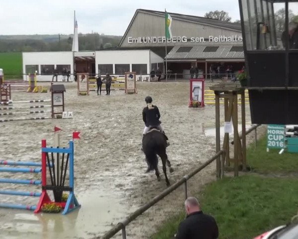Reitturnier Xanten - Moermter 2016