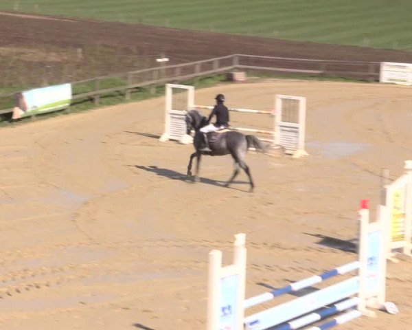 Reitturnier Iserlohn-Süd 2016