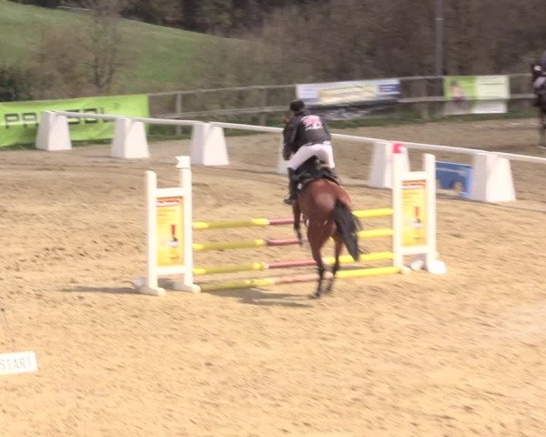 Reitturnier Iserlohn-Süd 2016