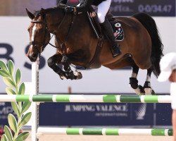 jumper Heike Es (KWPN (Royal Dutch Sporthorse), 2012, from Falaise de Muze)