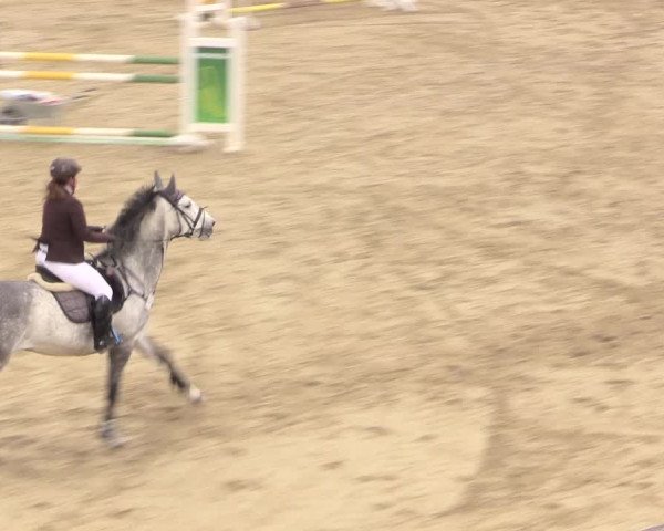 Reitturnier Iserlohn-Süd 2016
