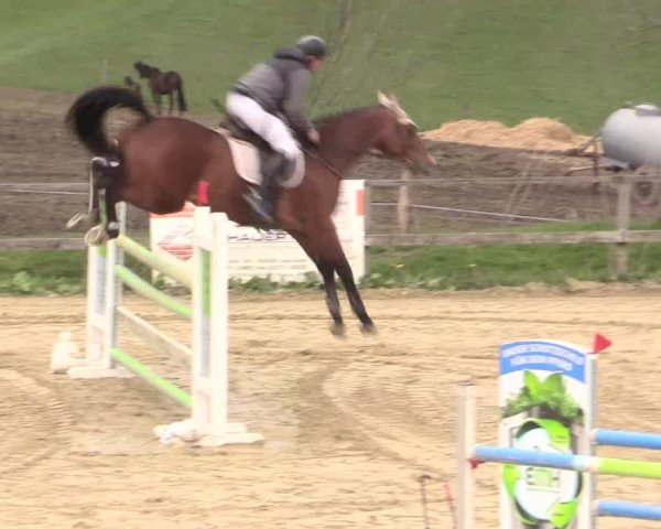 Reitturnier Iserlohn-Süd 2016