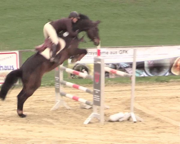 Reitturnier Iserlohn-Süd 2016
