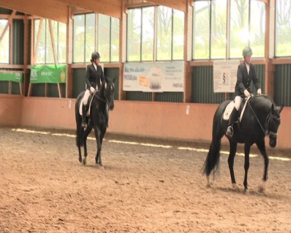 Reitturnier Iserlohn-Süd 2016