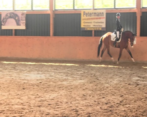 Reitturnier Iserlohn-Süd 2016