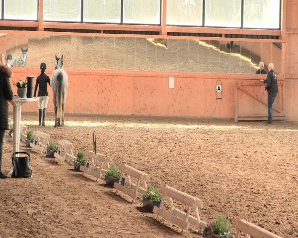 Reitturnier Iserlohn-Süd 2016